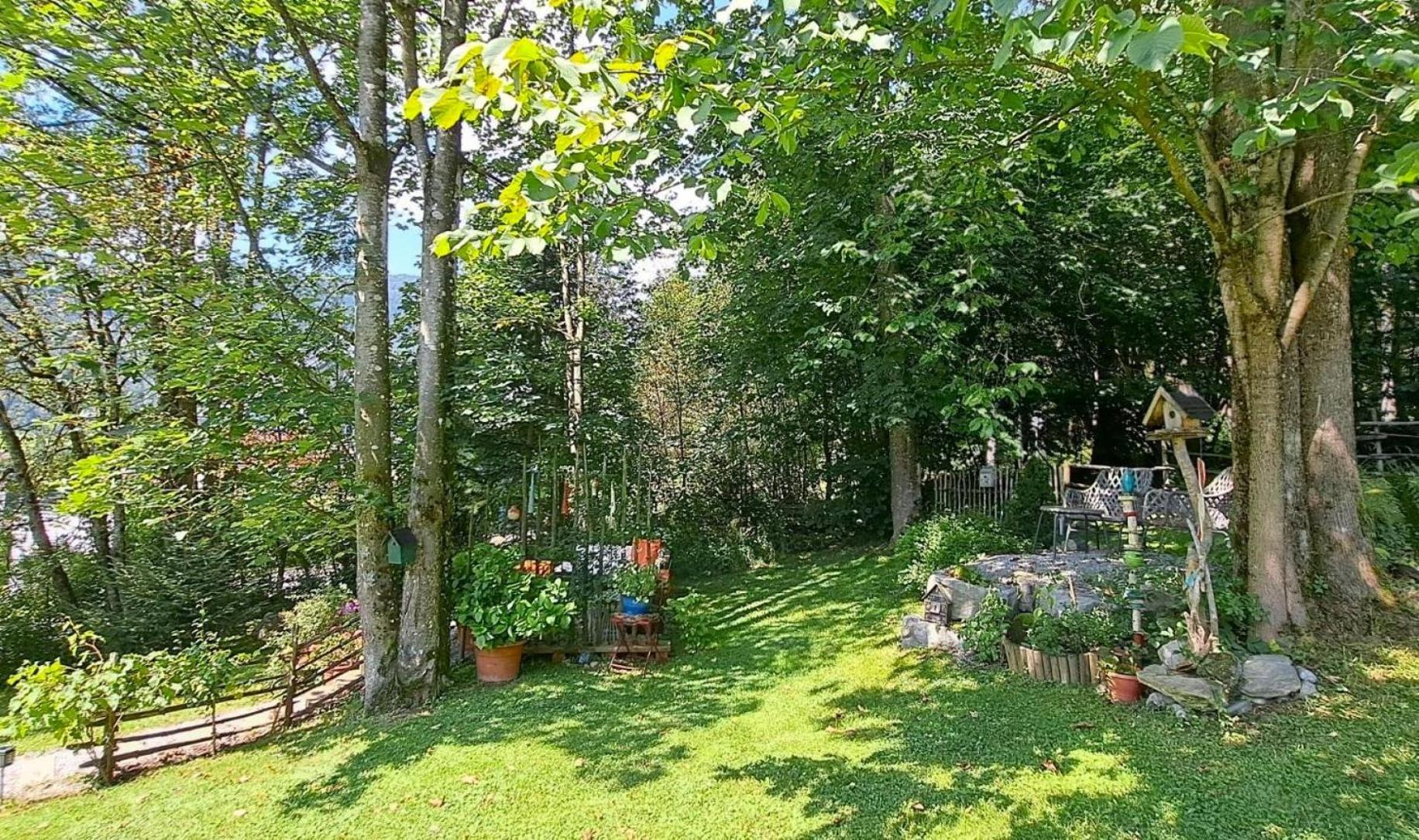 Ferienhaus Lechner Fuer Max 10 Personen - Wald Und Naturgarten Abtenau Exteriör bild